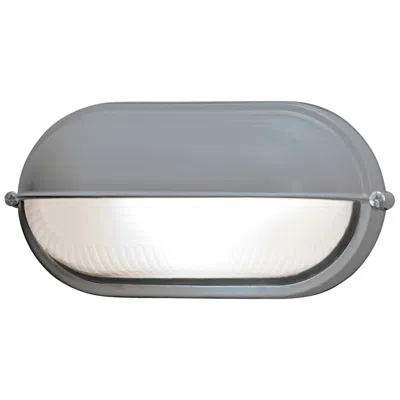 Access Nauticus 4.25" High Satin Outdoor Bulkhead W/ Frosted Glass Shade In Multi