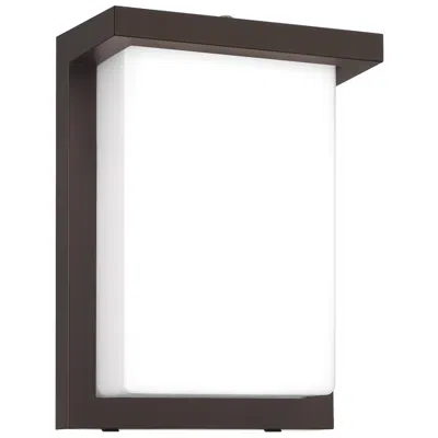 Access Sequoia 8" High Black Dual Voltage 3cct Outdoor Wall Mount In Brown