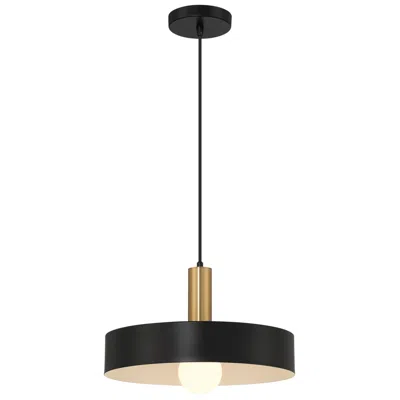 Access Slate 13 3/4"w Black W/ Antique Brushed Brass Pendant Light