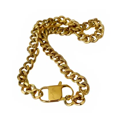 Accessory Concierge Women's Lourdes Link Necklace In Gold