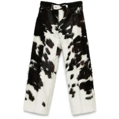 Achilles Ion Gabriel Pants