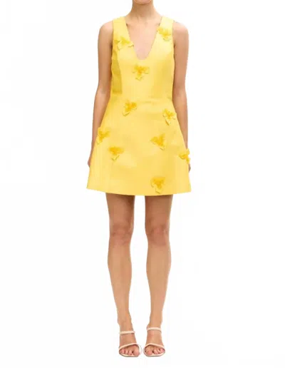 Acler Blairhall Mini Dress In Yellow
