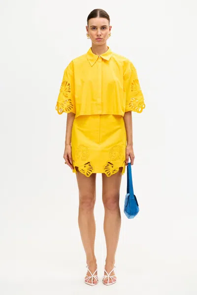 Acler Blairhall Mini Skirt In Yellow