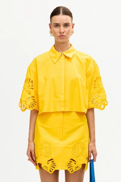 Acler Blairhall Top In Yellow