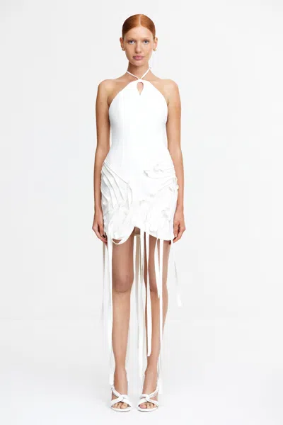 Acler Grovehill Mini Dress In White
