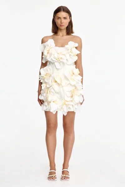 Acler Jackhill Floral Mini Dress In White