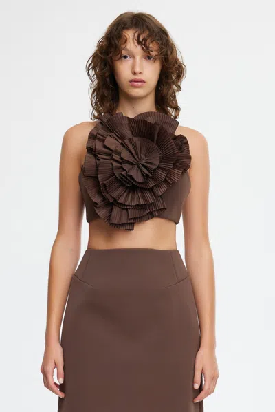 Acler Kingsford Top In Brown