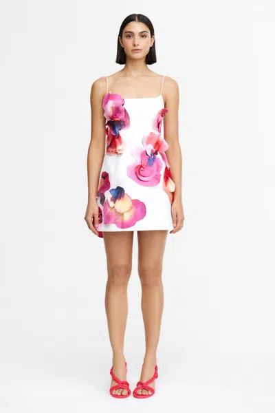 Acler Miltonrise Mini Dress In White