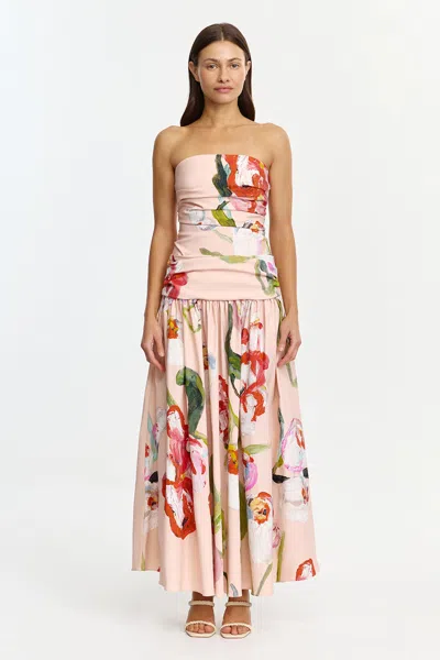 Acler Nershall Maxi Dress In Multi