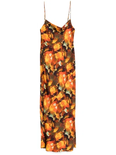 Acler Netherby Dress In Orange