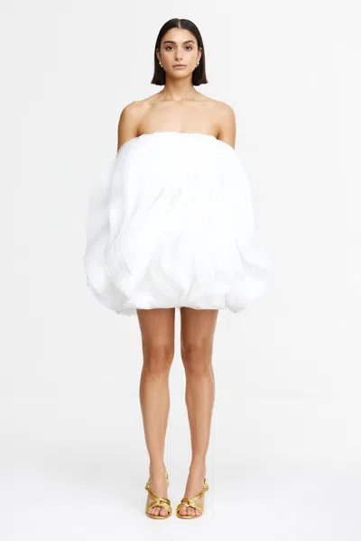 Acler Otley Mini Dress In White