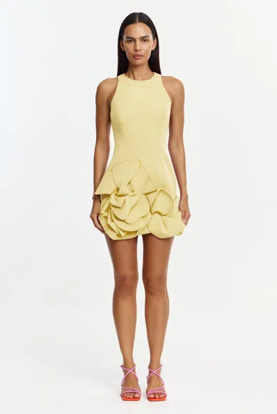 Acler Tantani Mini Dress In Yellow