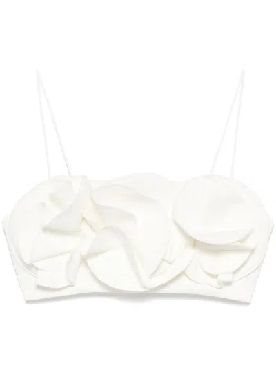 Acler Underwood Crop Top In White