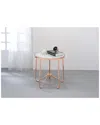 Acme Furniture Alivia End Table
