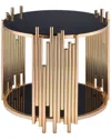 Acme Furniture Tanquin End Table