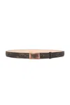 Acne Studios 1996 Plaque Belt In Dark Brown & Beige