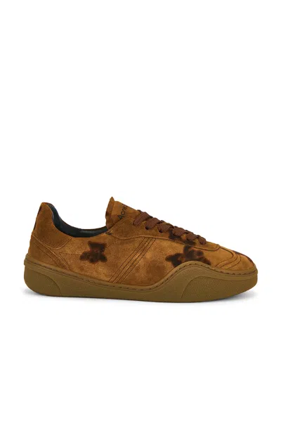 ACNE STUDIOS BARS BEAR PRINT SNEAKER