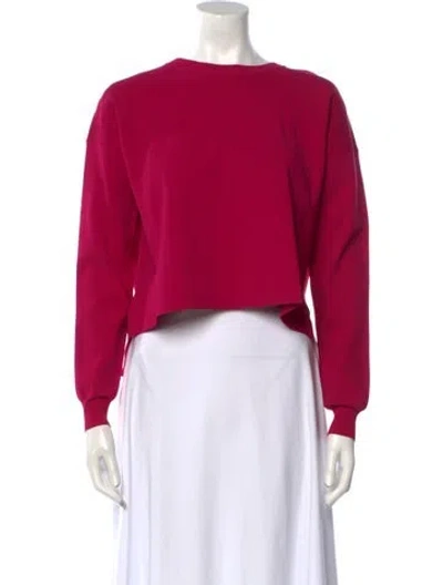 Pre-owned Acne Studios Bateau Neckline Long Sleeve Crop Top In Pink