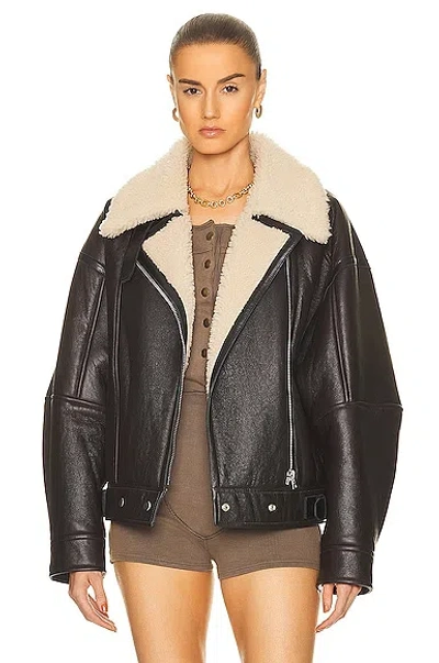 Acne Studios Biker Jacket In Dark Brown & Beige