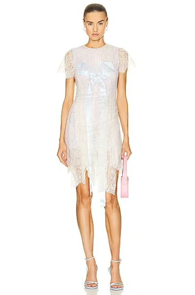Acne Studios Lace Bow Dress In Light Grey