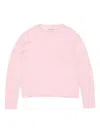 Acne Studios Cotton Sweater In Pink