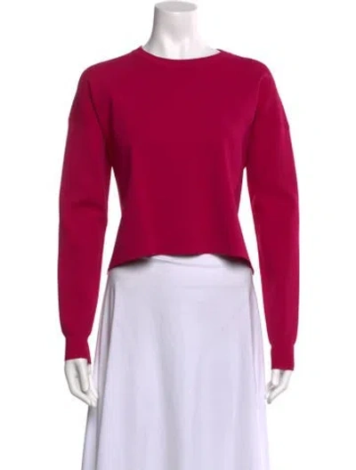 Pre-owned Acne Studios Crew Neck Sweater In Pink