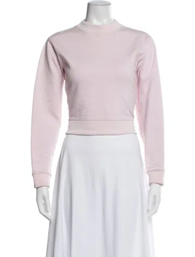 Pre-owned Acne Studios Crew Neck Sweater In Pink
