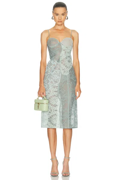 Acne Studios Daytona Romantic Flower Lace Dress In Blue