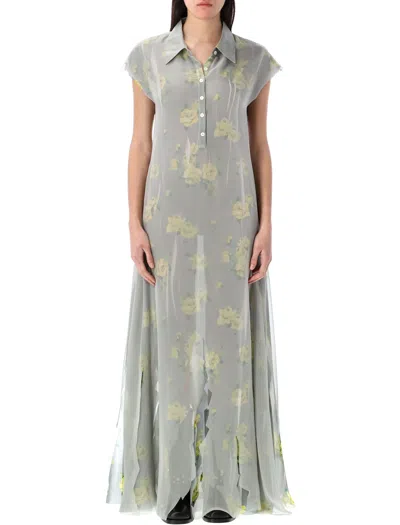 Acne Studios Dranee Rose Print Long Dress In Gray