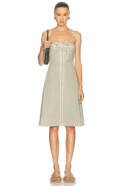 Acne Studios Dulta Lux Overprint Dress In Gray
