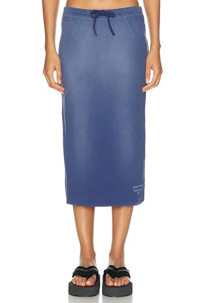 Acne Studios Edora Sunkissed Skirt In Blue