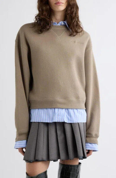 Acne Studios Finten C Organic Cotton Sweatshirt In Beige/blue