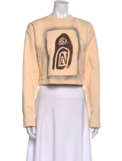 Pre-owned Acne Studios Graphic Print Crew Neck Sweatshirt In Neutral