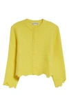 Acne Studios Kiruna Boiled Knit Cardigan In Yellow