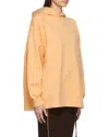Acne Studios Logo Hooded Sweater In Neutral