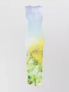 Acne Studios Sleeveless Maxi Dress Blurred Print