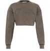 Acne Studios Crew Neck Sweatshirt Taupe Brown In Green