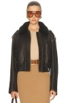 Acne Studios Shearling Bomber Jacket In Brown