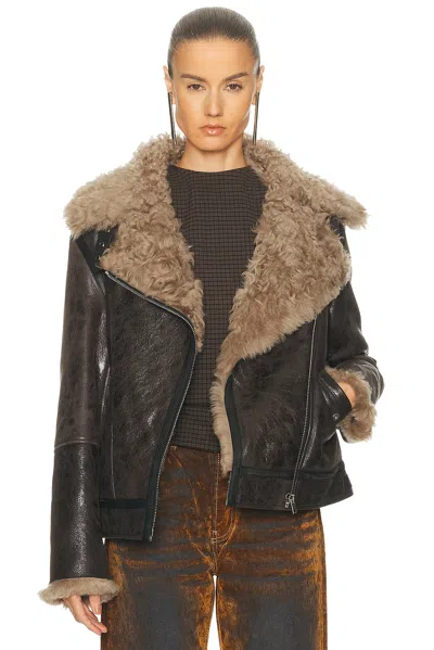 Acne Studios Luxy Genuine Shearling Lined Leather Aviator Jacket In Black