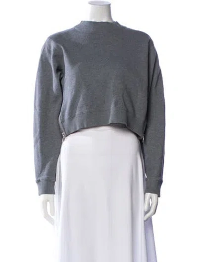 Pre-owned Acne Studios Mock Neck Long Sleeve Crop Top In Gray