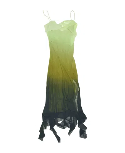 Acne Studios Ombré-effect Ruffled Midi Dress In Multi