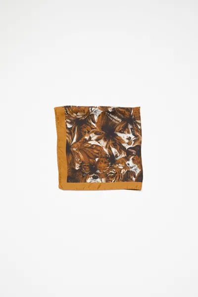 Acne Studios Print Silk Scarf In Brown