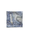 Acne Studios Printed Silk Scarf In Gray