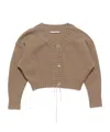 Acne Studios V-neck Long-sleeved Sweater In Brown