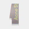 Acne Studios Veda Hero Wool & Nylon Scarf In Beige