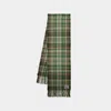 Acne Studios Green Plaid Fringe Scarf In Green