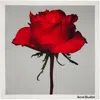 Acne Studios White Square Silk Scarf In Red