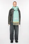 Acne Studios Wool Mohair Scarf - Narrow In Light Blue