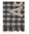 Acne Studios Scarf In Multicolor