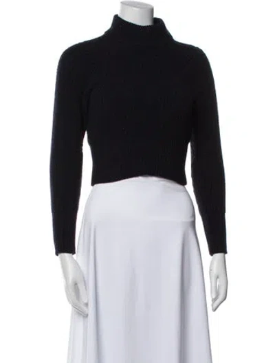 Pre-owned Acne Studios Wool Turtleneck Sweater In Blue